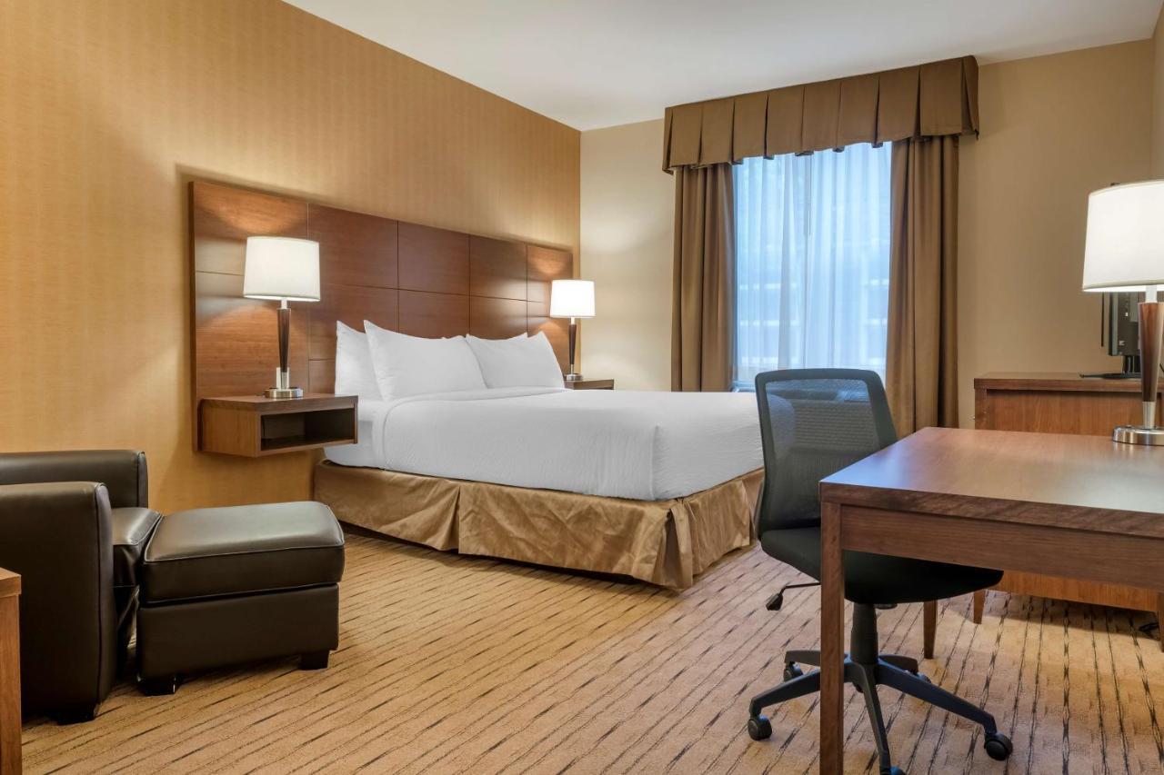 Best Western Plus, Bathurst Hotel & Suites Kültér fotó